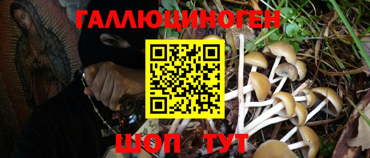 Подольск  Галлюциногенные грибы MAGIC MUSHROOMS  как найти наркотики  Вход с VPN  Псилоцибиновые грибы прущие грибы 